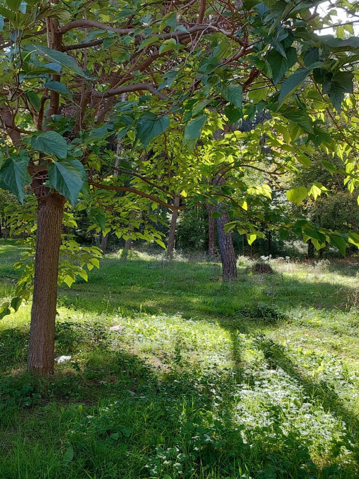 A'Studio Тирана Экстерьер фото